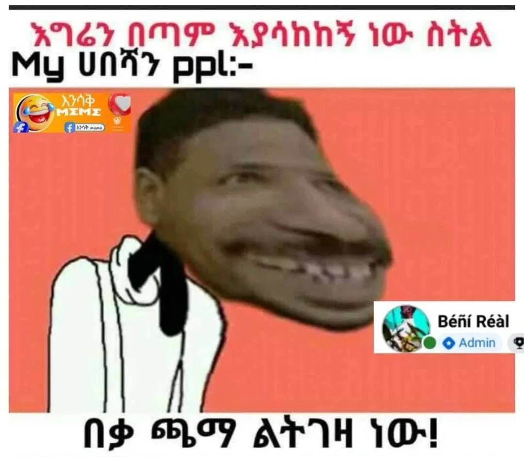 እግሬን በጣም (አያሳከከኝ ነው ስትል የ49 | ሀበሻን ን 8: -. በረን 8፡88] . የንን ርጋ) ቂቅ ለ1) (ዋ ኳማ ልትገዛ ነው፤ . 1]፣ 7 1 |] 4ቭ#«፣ ጭ፡ -ድጽ. ሥመር በ ቓ» ነ ANG AMP aranns iO ATA Mi | UA 7 ppl: - (:) Bef Réel : KINO: OAdmin) (3 99 AFH OL “Ee “ Vi ? dod re age Te eae fi > ;